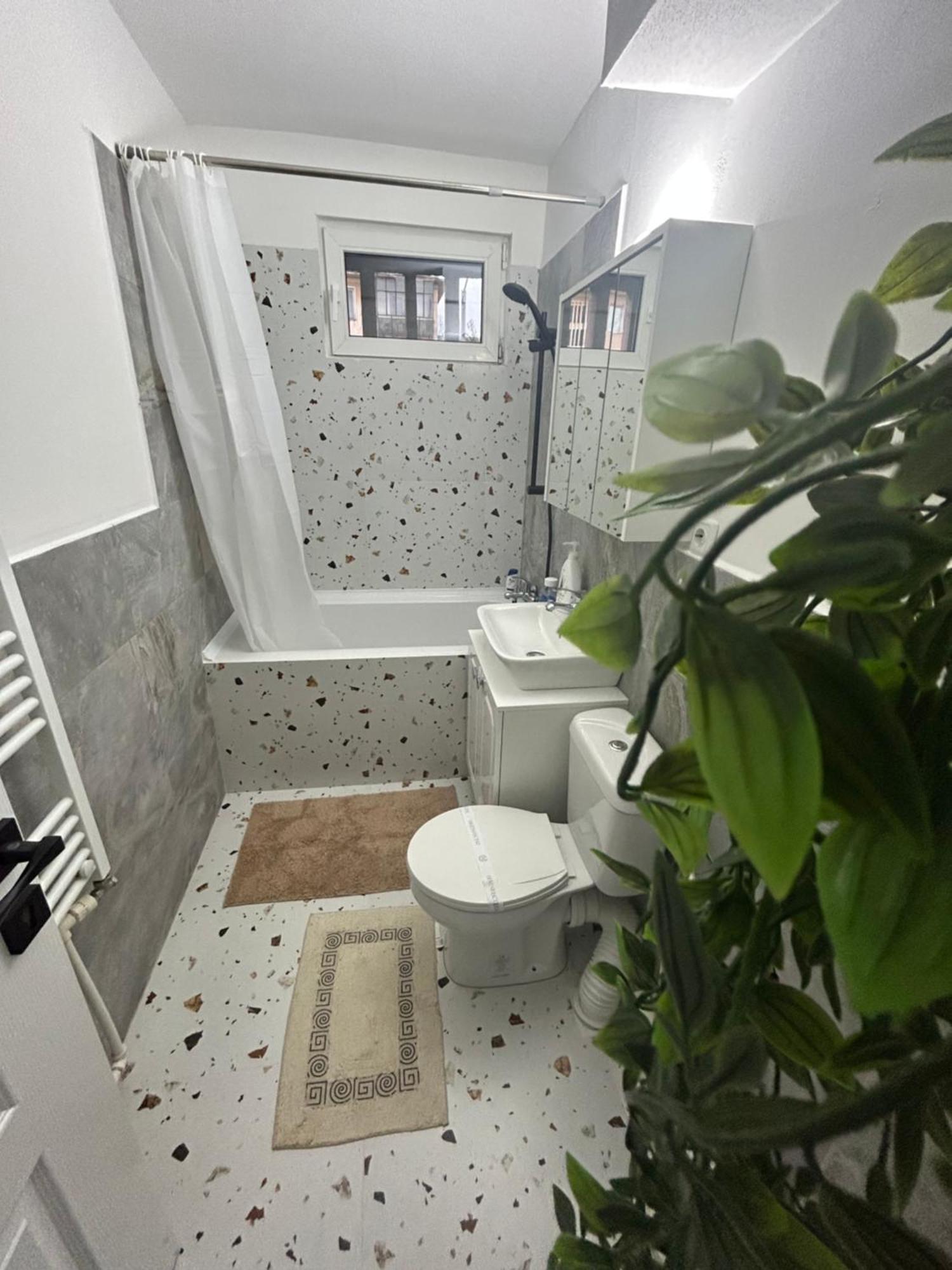 Mag Apartament Ps ヤシ エクステリア 写真